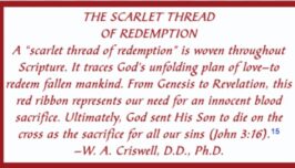 The Scarlet Thread