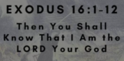 The Scarlet Thread of Redemption, Part 66, Exodus 16
